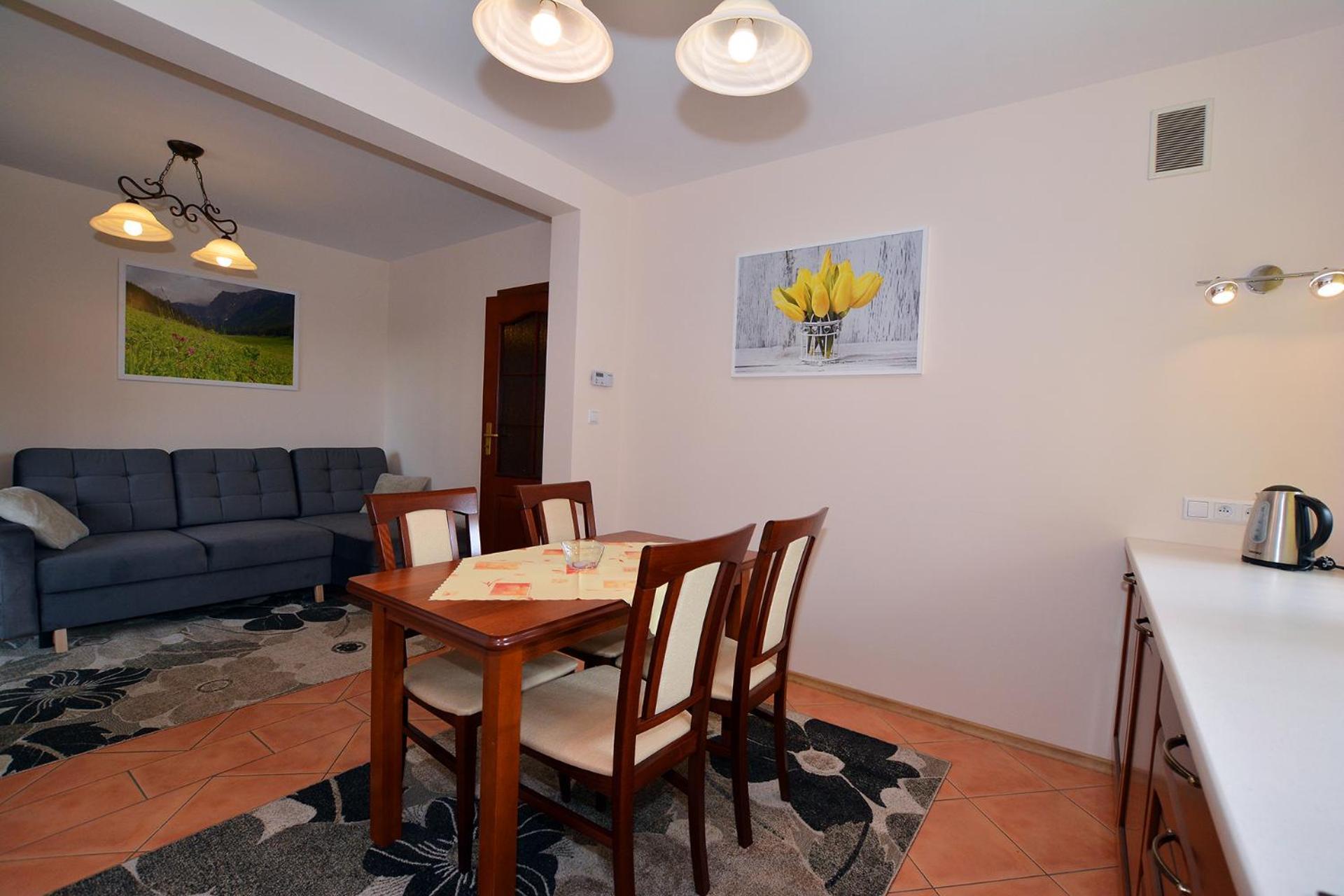Apartament Kosista 扎科帕内 外观 照片